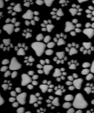 Load image into Gallery viewer, Paw Print Pants