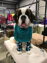 Load image into Gallery viewer, Bitches Love Me