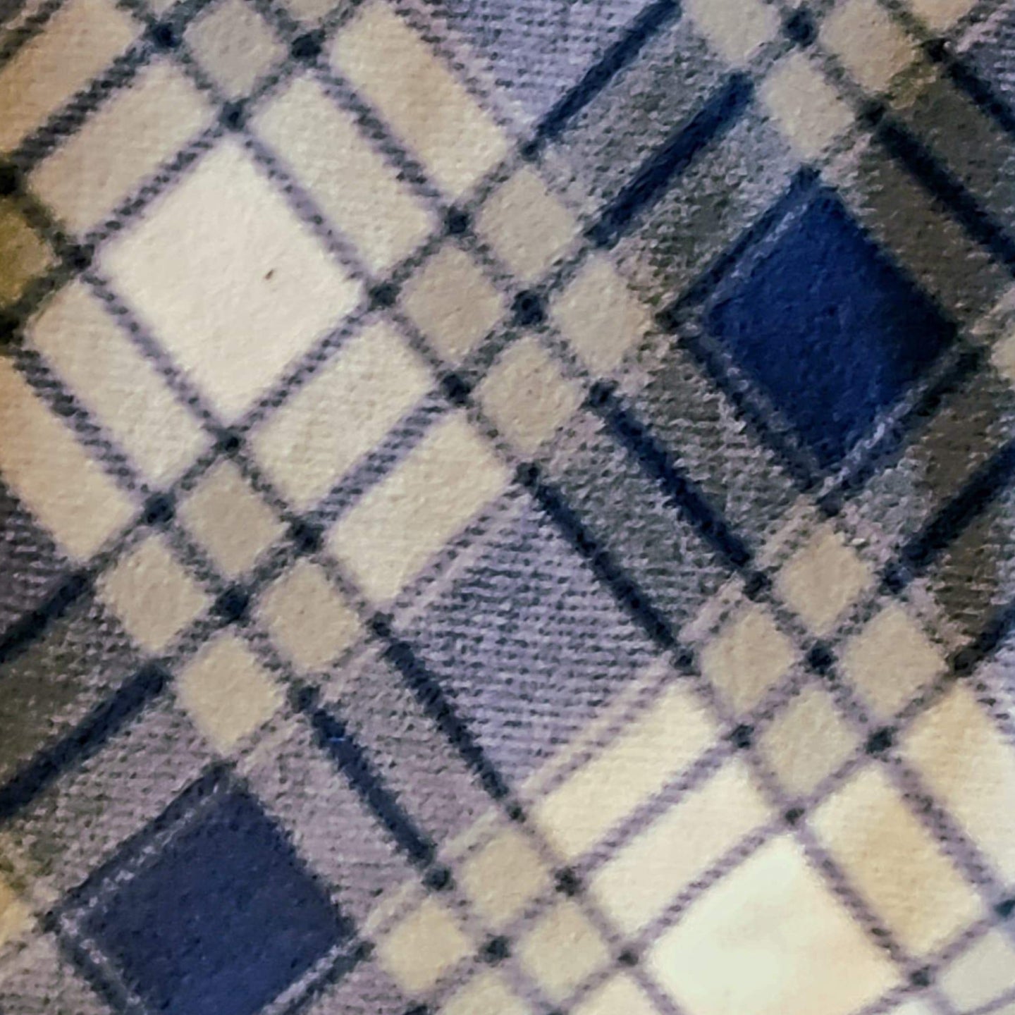 Blue Plaid