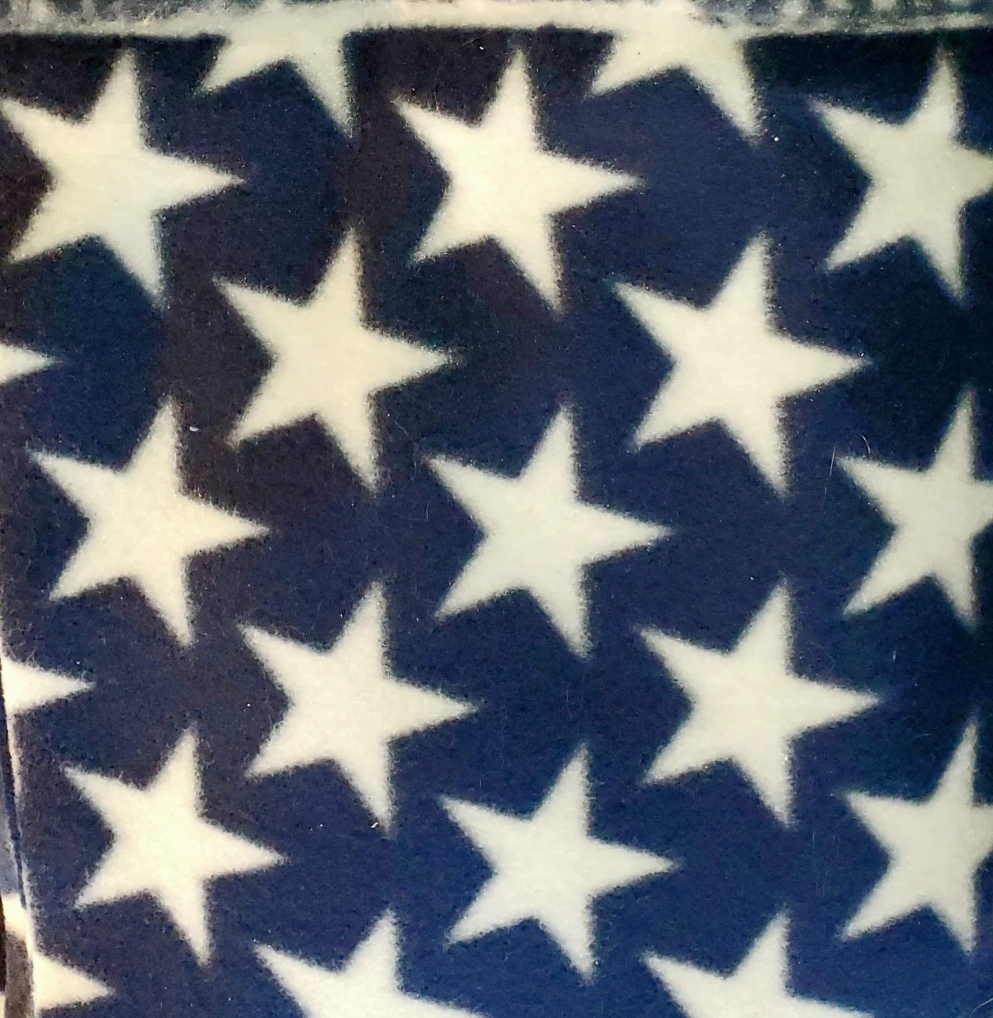 Patriotic Pants